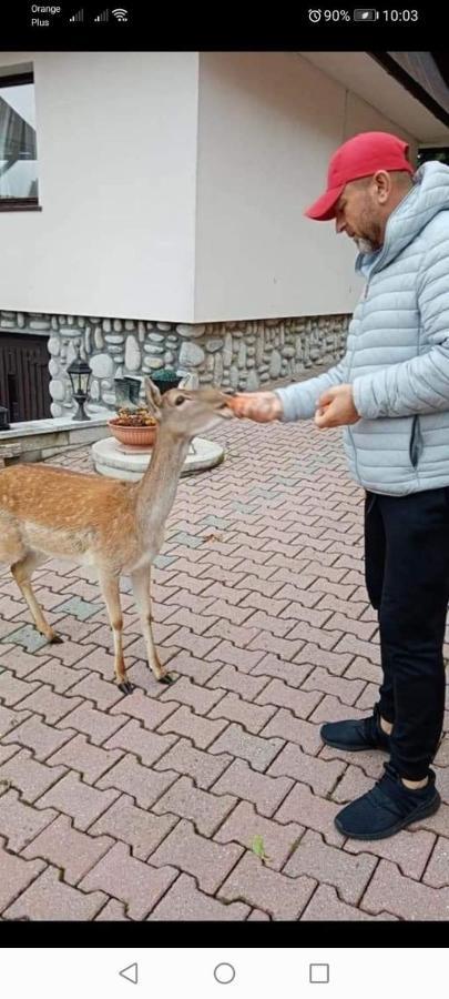 Agroturystyka Pod Lasem Poronin Exteriér fotografie
