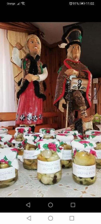 Agroturystyka Pod Lasem Poronin Exteriér fotografie