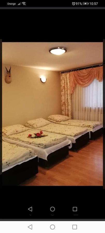 Agroturystyka Pod Lasem Poronin Exteriér fotografie